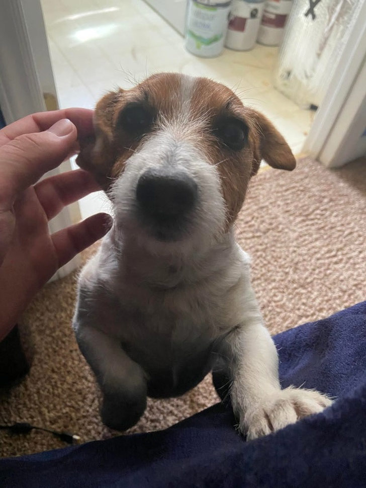 My girl loves wishing good mornings