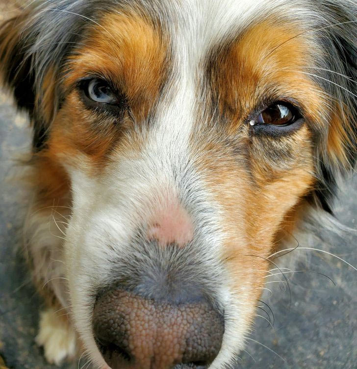 the spark in those eyes